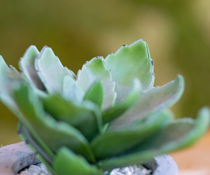 Praxis Alte Spinnerei